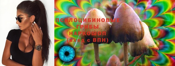 амф Вяземский