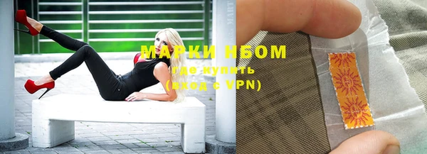 амф Вяземский