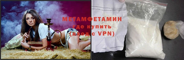 гидра Володарск