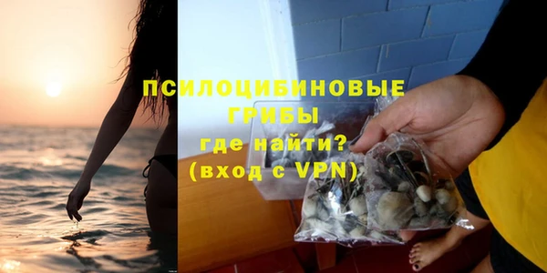амф Вяземский