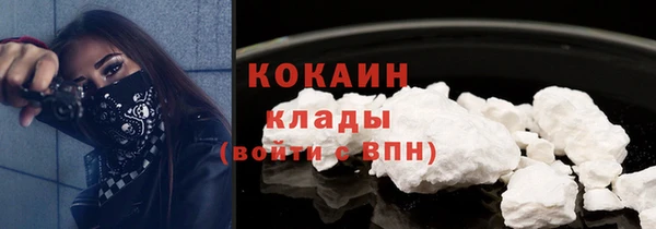 амф Вяземский