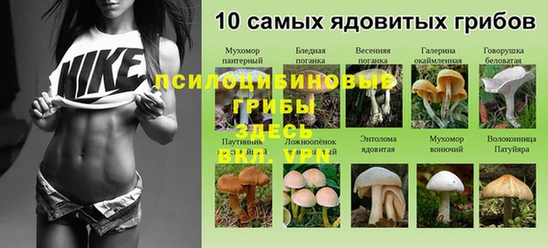Альфа ПВП Вязьма