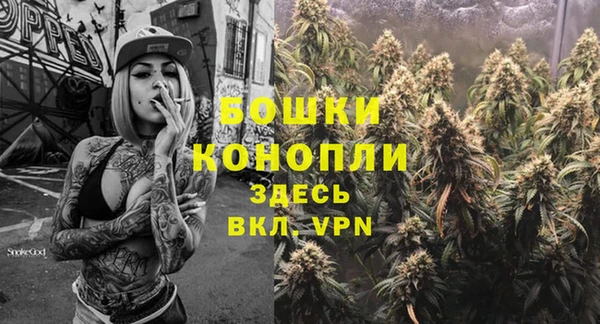 амф Вяземский