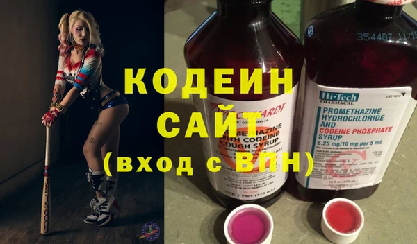 амф Вяземский