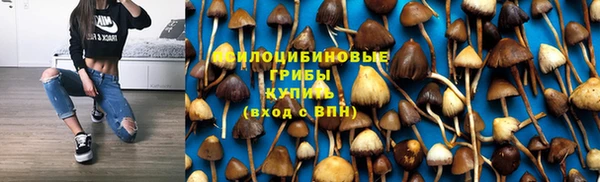 Альфа ПВП Вязьма