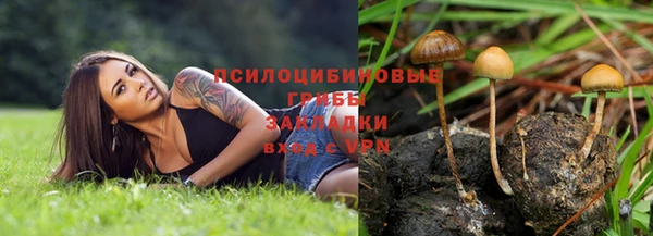 Альфа ПВП Вязьма
